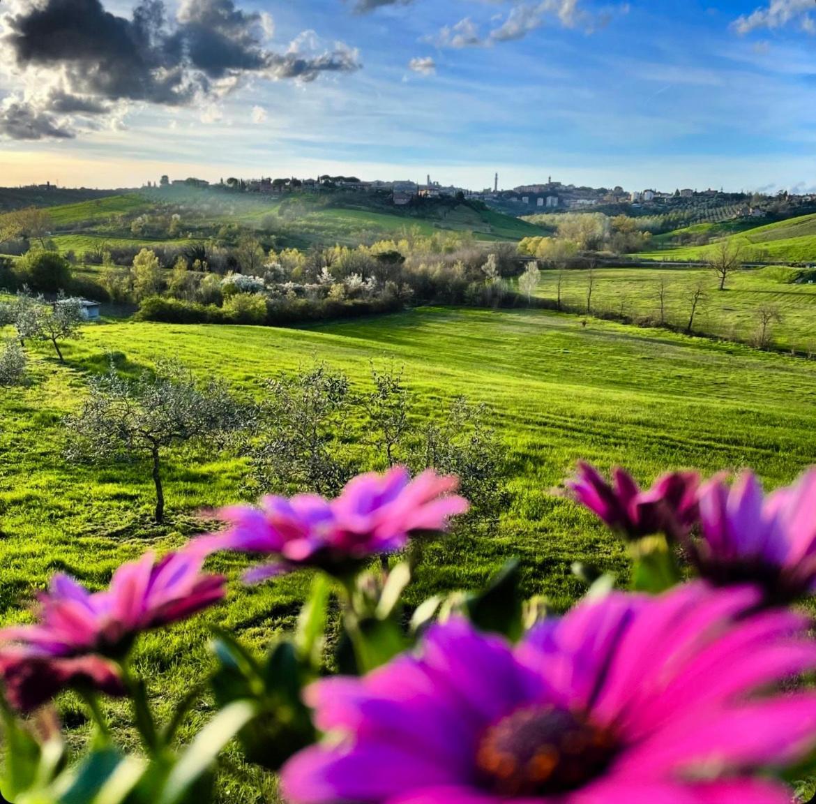 Agriturismo La Corte Del Sole เซียนา ภายนอก รูปภาพ