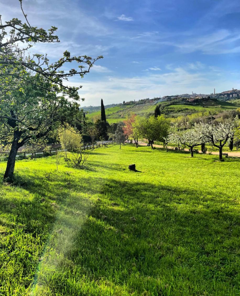 Agriturismo La Corte Del Sole เซียนา ภายนอก รูปภาพ