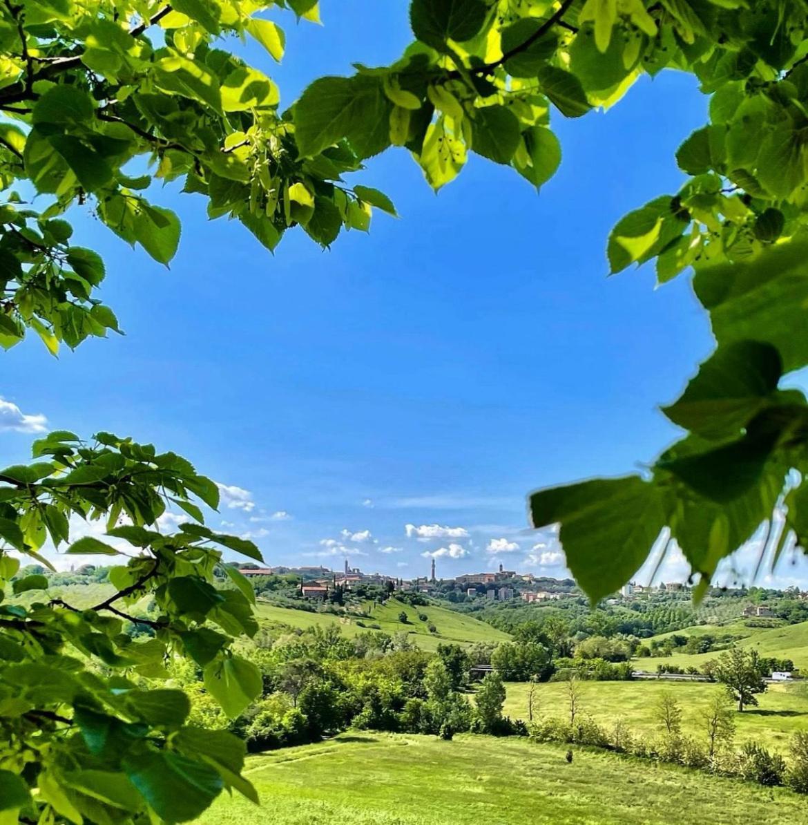 Agriturismo La Corte Del Sole เซียนา ภายนอก รูปภาพ